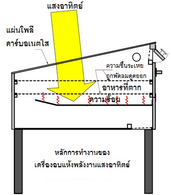 How to Foods Dryer Works