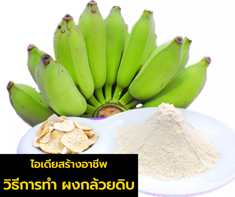 วิธีการทำ ผงกล้วยดิบ